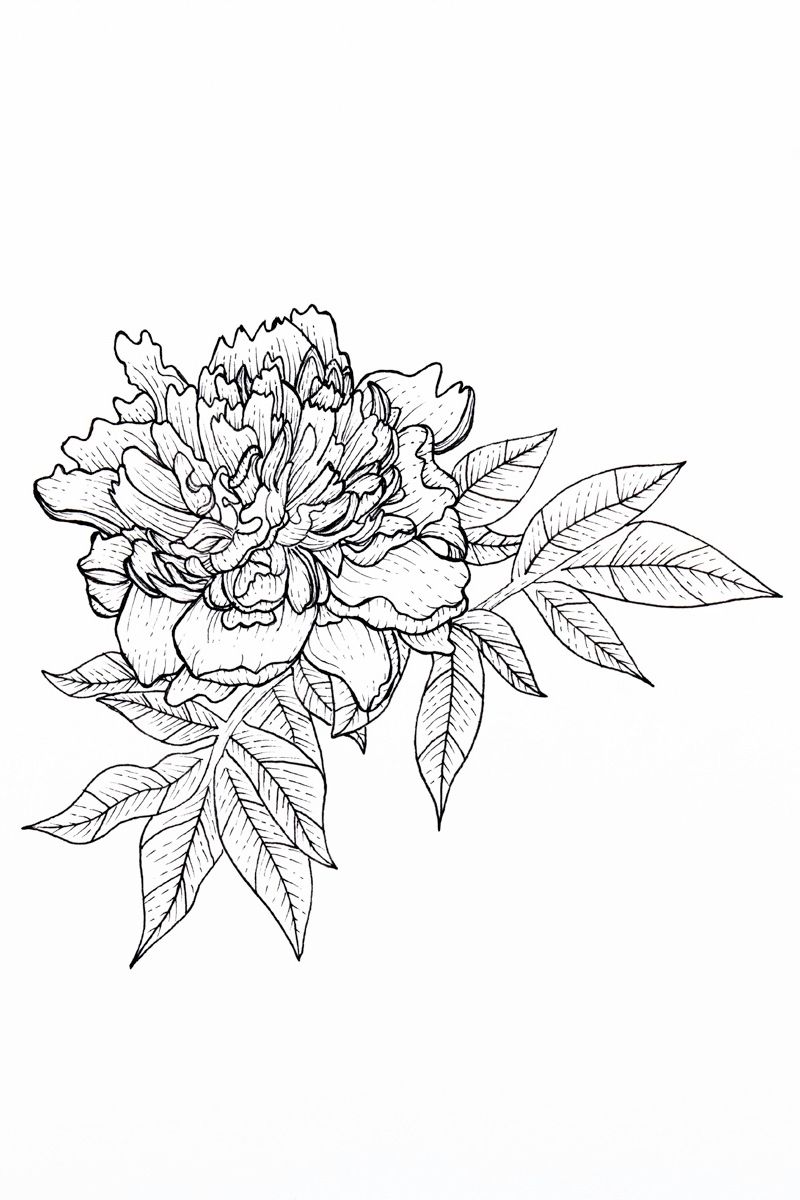 Peony