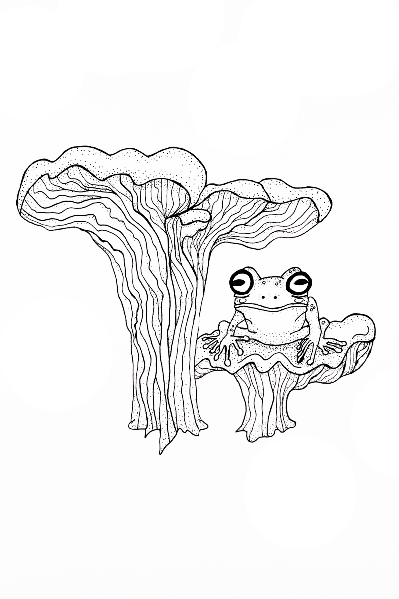 Tree Frog and Mushrooms