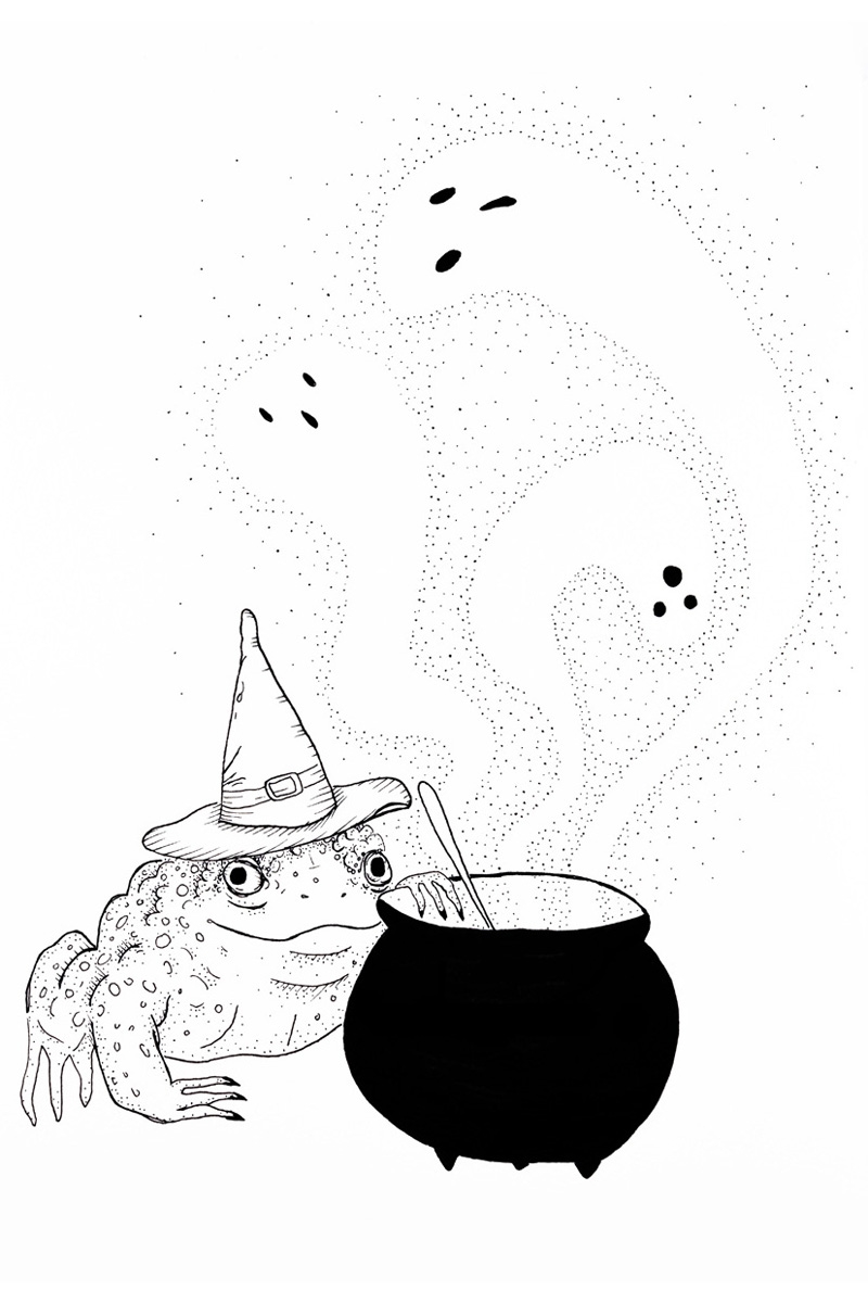 Witch Toad