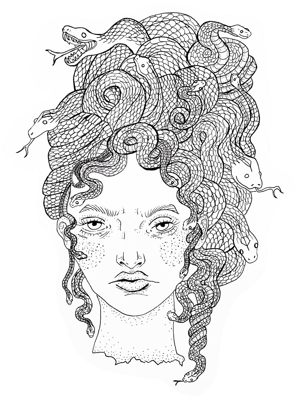 Medusa Antoinette